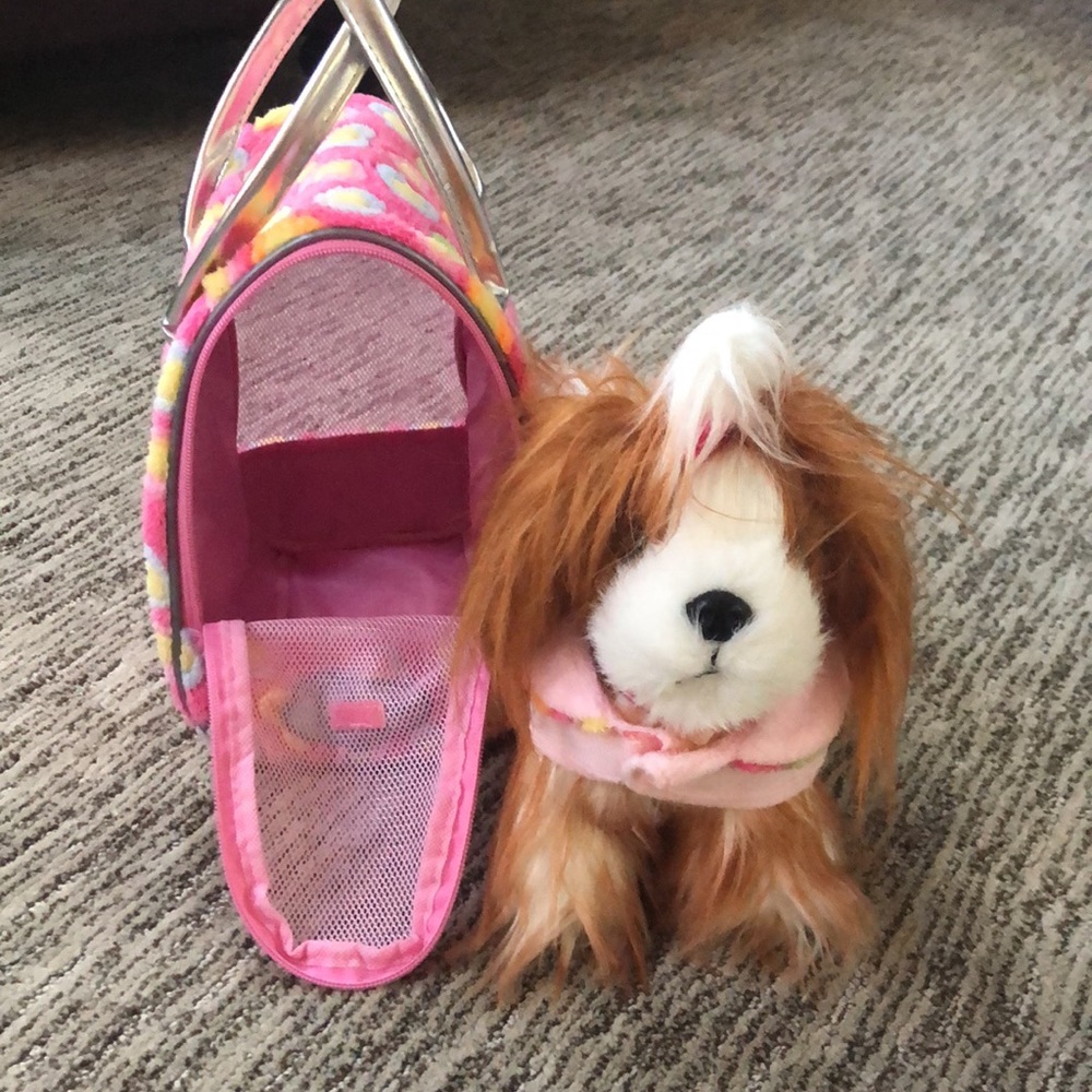 Pucci Pups